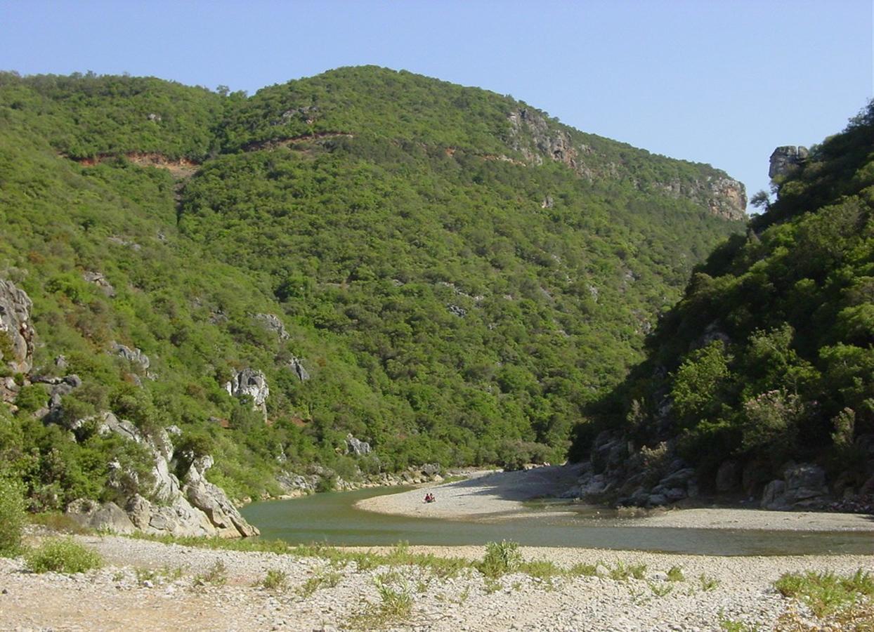 Caiat Lounge Refuge Hostel Taghzoute Екстериор снимка